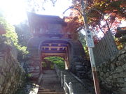 }Cann̔@ӗ֎iÕωj̓eʐ^1