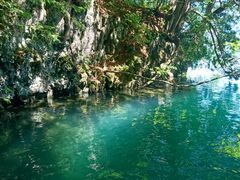 miũBgJ̓]ւ̓eʐ^1