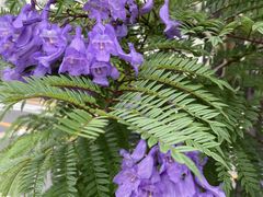 non̏l򑫓@قƂӂƂPOTւ̓eʐ^1