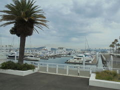 ��������񂳂�̘a�̎R�}���[�i�V�e�B�z�e���ւ̓��e�ʐ^2