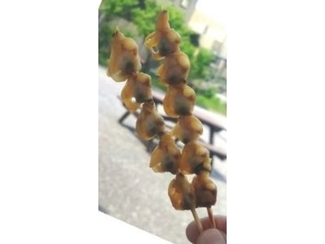 ���܂��I_���̉w ����Ȃ�