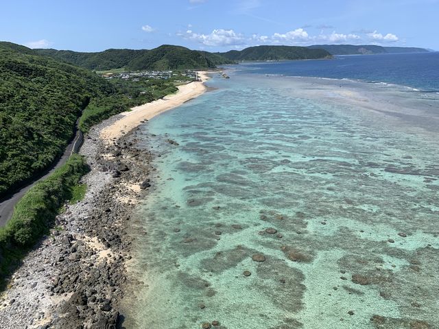 ���̓��͓V�C�ɂ��b�܂�đS�Ă��p�[�t�F�N�g�ł���_�����p���O���C�_�[�K�C�h�T�[�r�X�n�b�s�[�X�J�C