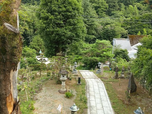 �L�򎛋������猩���L�򎛉���_�L�򎛉���