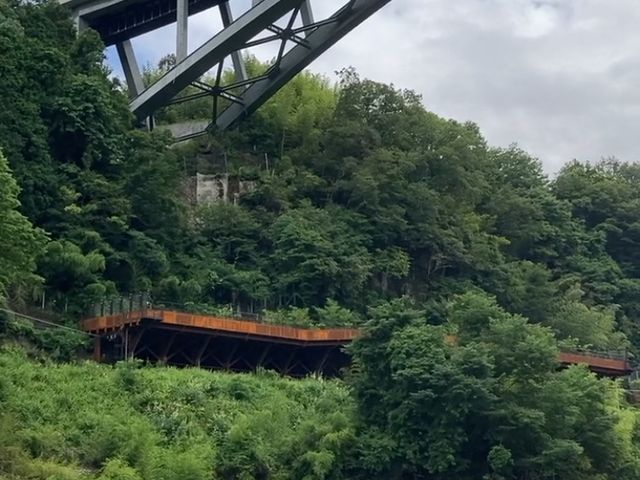 ���炳��ۓV���� �V�����勴_���炳��ۓV�����@�V�����勴