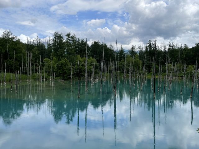 �ĐF�̐��r_�D�y�ʉ^�N���u�Q�b�c