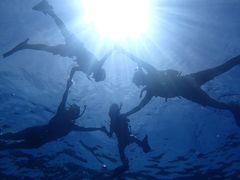 Ђ̃}Nu Gigiւ̓eʐ^1