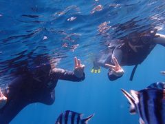 񂳂̃}Nu Gigiւ̓eʐ^1