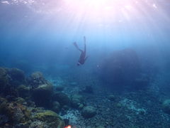 BalloonFish{Ó̎ʐ^1