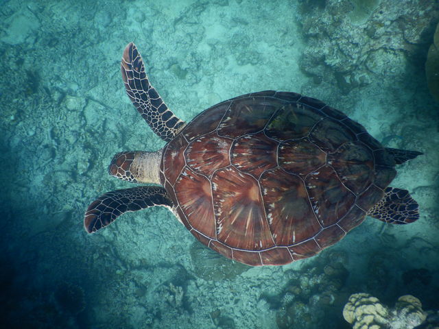 ����C�T_����ف[���X