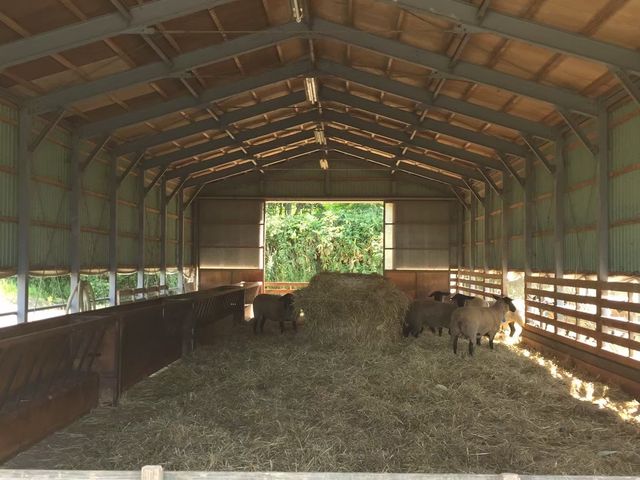 �ɓ��ŋx�ޗr����_�m�ʂ߂�r�q��