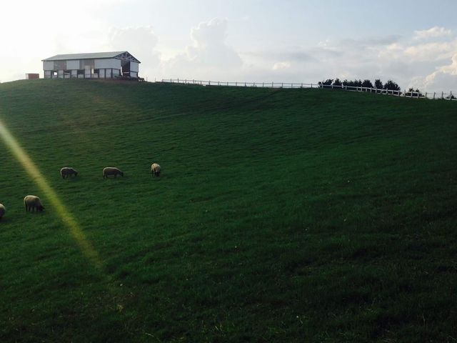 �Ă̐X�Ƃ����q���n��_�m�ʂ߂�r�q��