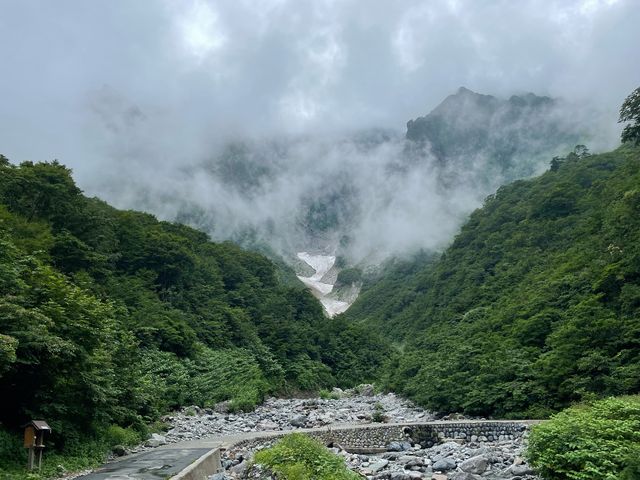 �V��͕ς��₷���I_��m�q��