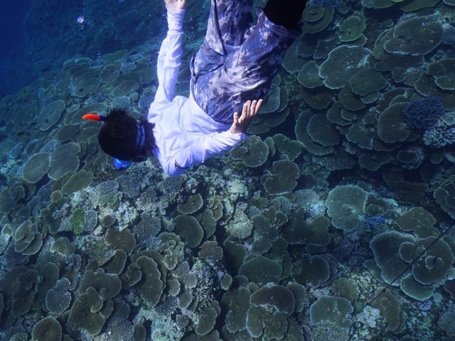 ���w��4�N�j�@���f����_Onebreath Irabu