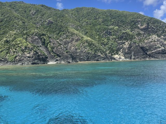 �������X�|�b�g�̈�I_�W���C�N���G�C�g���� �e�B�[�_