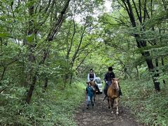 ݂Riding Club Jobardߐ{ւ̓eʐ^1