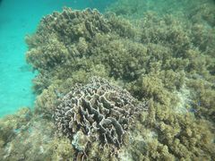 ̃V[JbNȂ@J̃WiTւ̓eʐ^2