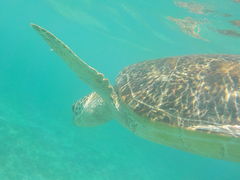 SucrẽA}~GVXւ̓eʐ^3