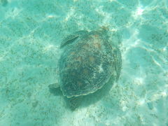 SucrẽA}~GVXւ̓eʐ^4