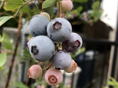 ntnt̂Eu[x[_@x[̋ւ̓eʐ^1