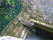 jkammy07����̐����̓��e�ʐ^2