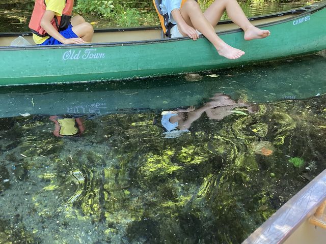 ���̊Ԃł̐��ʂɂ��锽��_���o�[���t�B�[���h