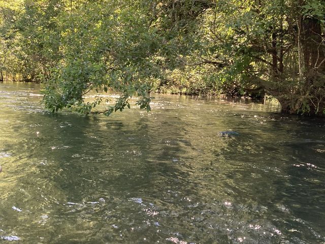 ����Ⴍ���Ă�����܂�_���o�[���t�B�[���h