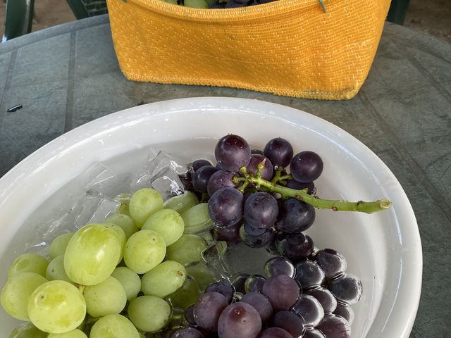 �X�ŗ�₵�Ă���H�ׂ܂���_�������̉���