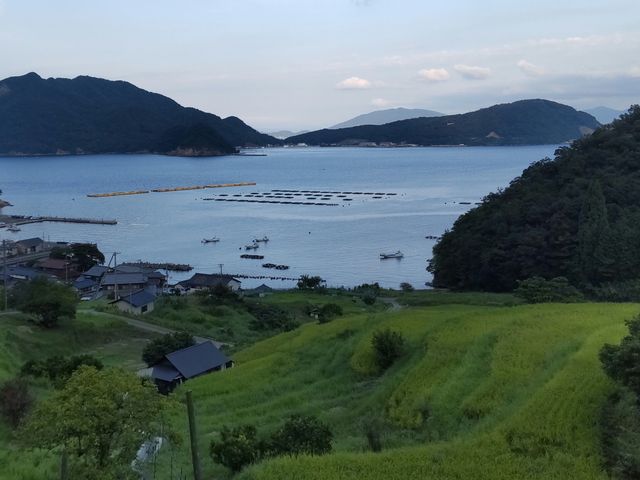 ȋ`̑  ȒIc
Ă̏I  𐂂ꂩ  pȂȂǂł_̒Ic