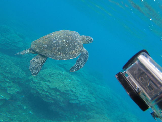 �E�~�K������_���䓇�_�C�r���O�V���b�v�A���x�X�N