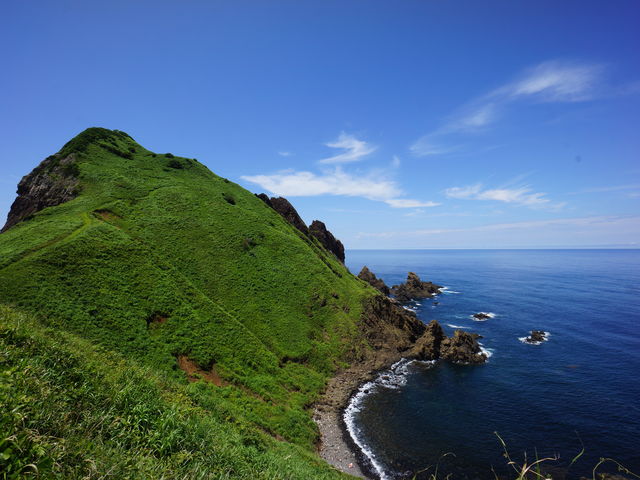 �΂��f���܂�_���T