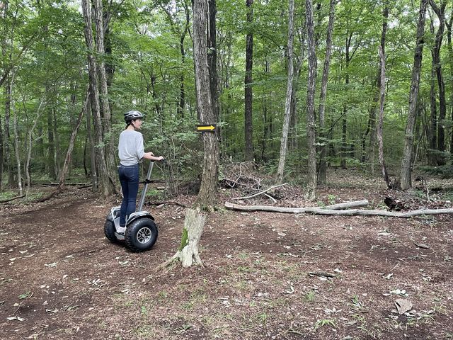 �e���r�Ō��Ă��܂����I_�W���C�����C�h�p�[�N