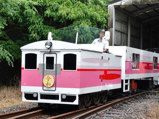 ����Ċy�����g���b�R���_����䂠�܂Ă炷�S���i�� �����w�\���j