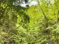 JUÑBgJ̓]ւ̓eʐ^1