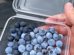 ̃u[x[@܁[邢ςɁ[ւ̓eʐ^1