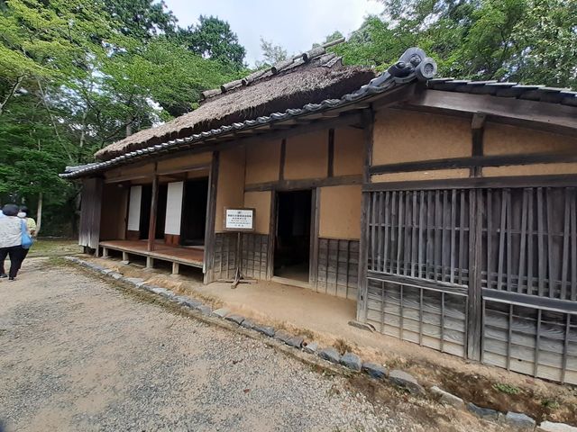 ����_���c���j����