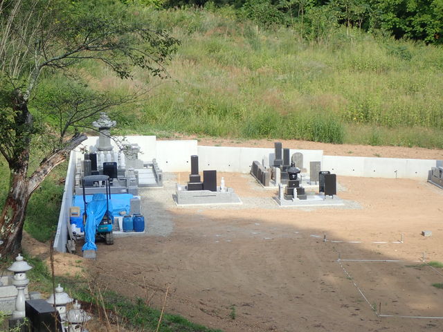 �}�C�a�n�n����̐^�c�M�j�̕�̓��e�ʐ^1