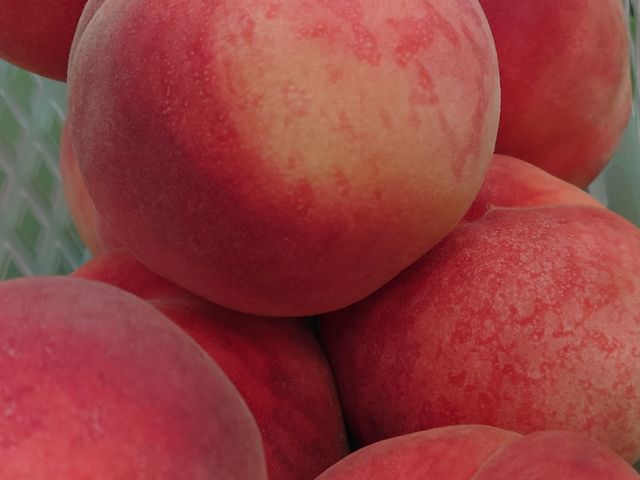 ĂɓEݎčȂł܂_킵܉ʎ