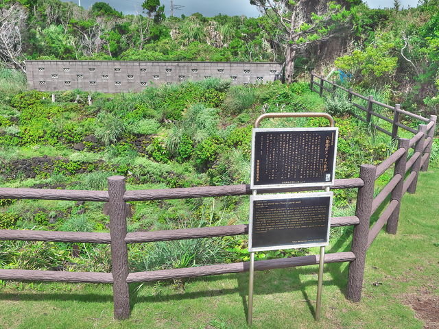 sklfh̔d̃bgE˂̓eʐ^1