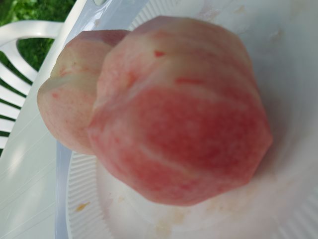 �F�Â��͂���Ȋ���_���킵�܉ʎ���