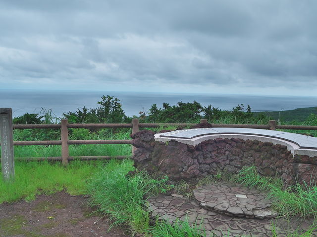 sklfh̉΂̎RW]̓eʐ^1