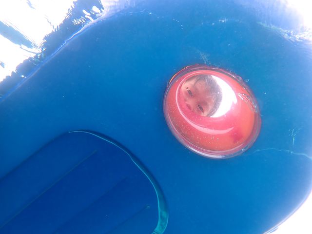 �D���g���Ύq�������S���Ċy���߂܂��B_Reeftour HONEY