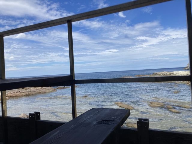 �o���O�̂P���B�ҍ����̃E�b�h�f�b�L���_�_�C�r���O �V���m�[�P�����O �J�V�}�J���R�[