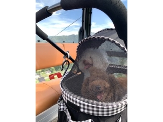 �����B��Ă���΃o�M�[�ł̏�Ԃ���_�U�E���F�����_�ΑŊێR/�ΑŊێR�X�L�[��