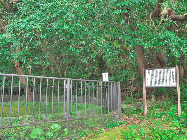 sklfh����̏����䏬���Y�̈�˂̓��e�ʐ^1