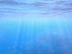 Ђ܂肳Nature Guide Double Rainbow lC`[KCh@_uC{[ւ̓eʐ^1