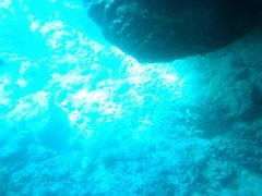 Ђ܂肳Nature Guide Double Rainbow lC`[KCh@_uC{[ւ̓eʐ^3