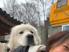 ̂񂳂̃BgJ̓]ւ̓eʐ^1