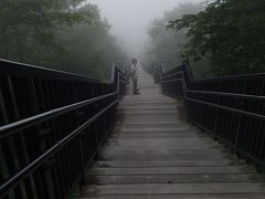 vivid����̖��~�����ւ̓��e�ʐ^1