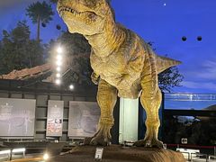 福井県立恐竜博物館の写真一覧 じゃらんnet