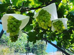 ̂˂Ƃ_(sόԂǂZ^[x)ւ̓eʐ^3